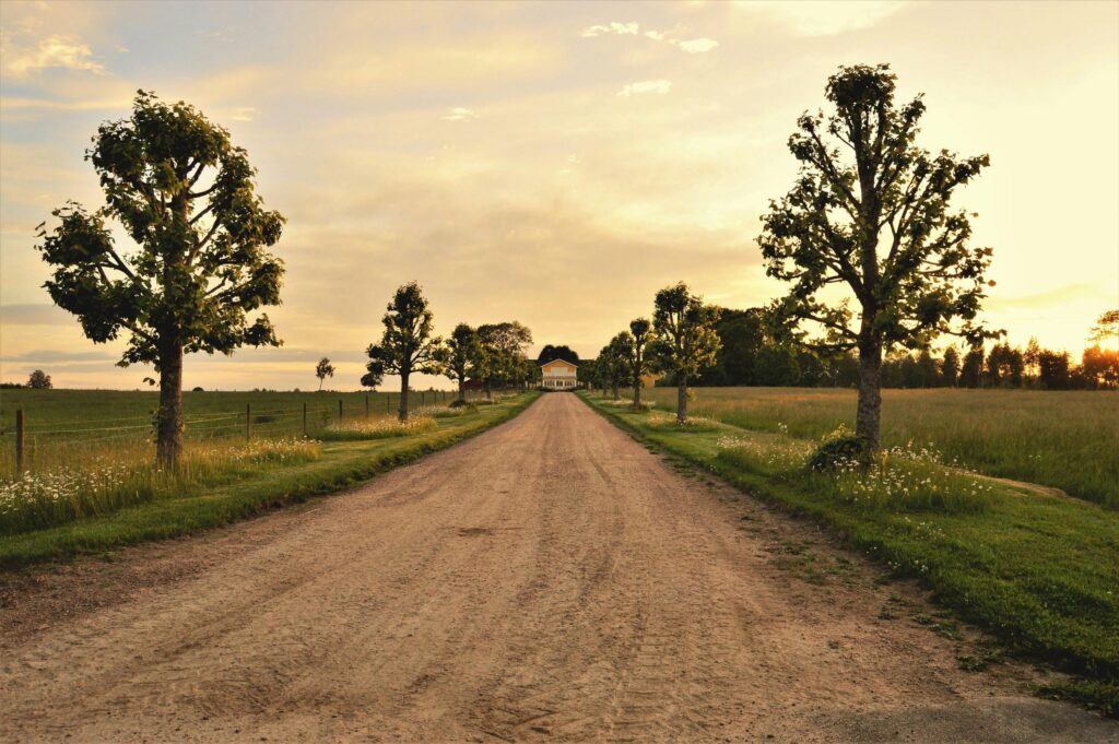 A peaceful rural landscape with a tree-lined dirt road leading to a distant farmhouse during a beautiful sunset.